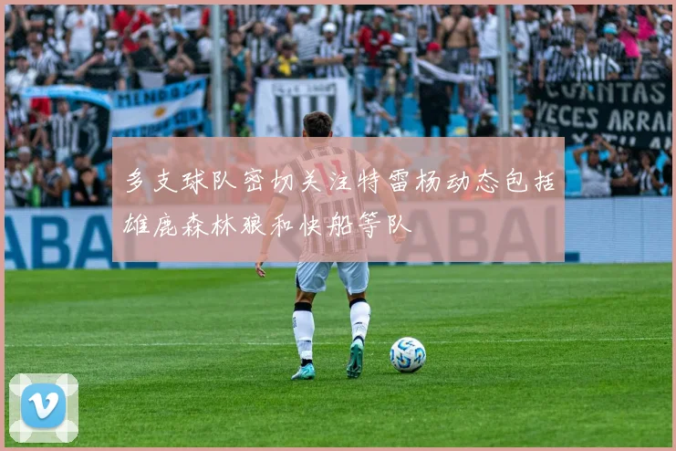 多支球队密切关注特雷杨动态包括雄鹿森林狼和快船等队