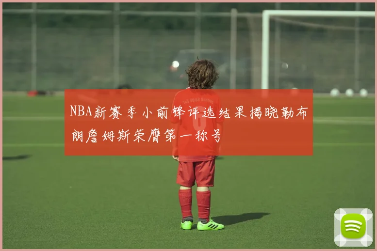 NBA新赛季小前锋评选结果揭晓勒布朗詹姆斯荣膺第一称号
