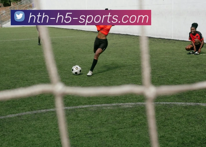 华体会体育平台生态图