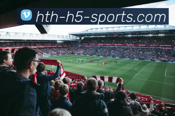 华体会体育APP 封面图